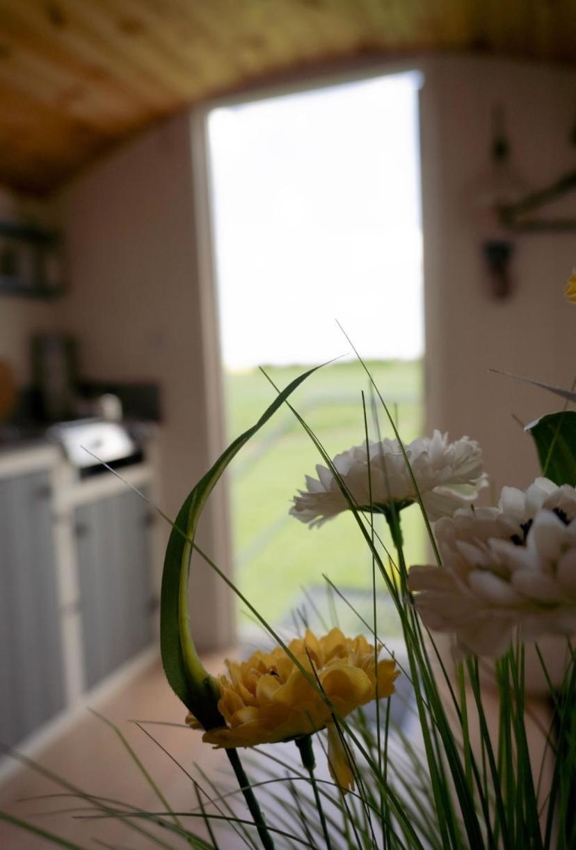 Hotel Maple Hut Four Acre Farm à Aylsham Extérieur photo
